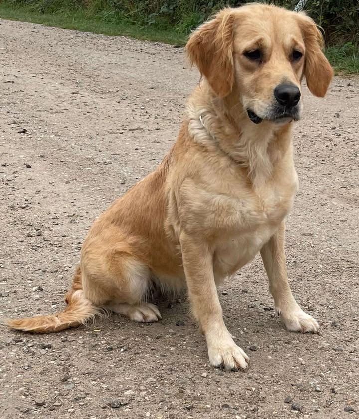 Publication : de la Vallée de Saint Samson