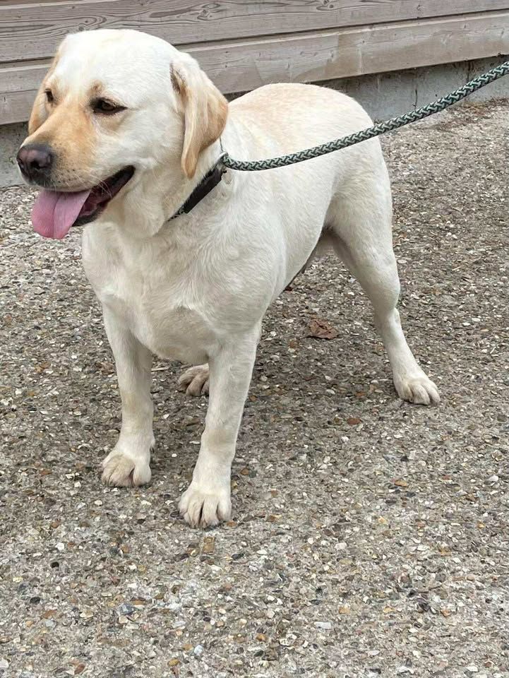 Publication : de la Vallée de Saint Samson 