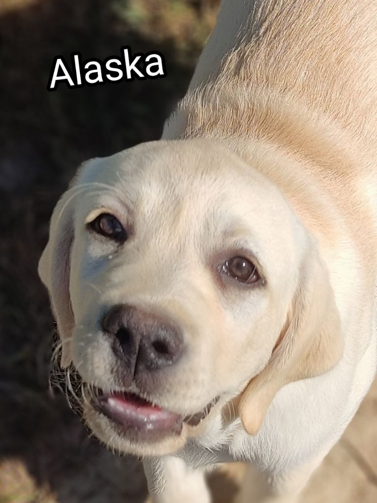 Publication : des Terres de la Chatelaine 