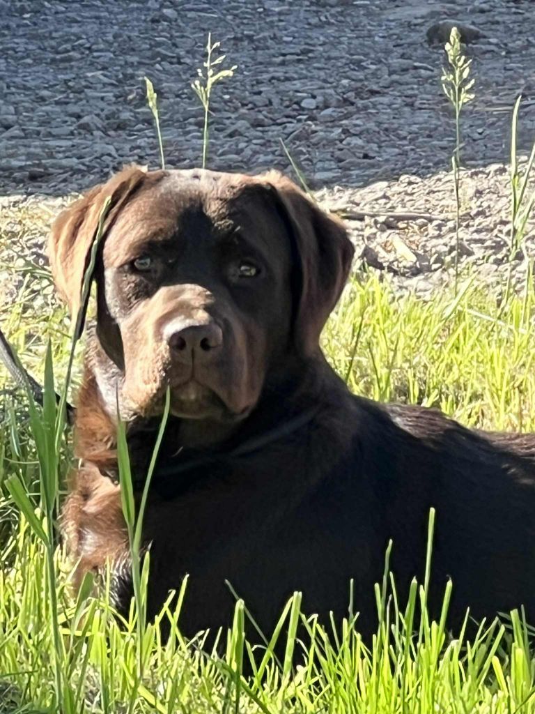 Publication : du Jardin Des Fées 