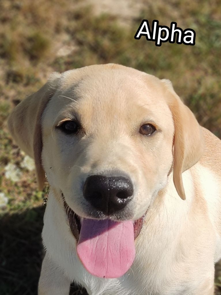 Publication : des Terres de la Chatelaine 