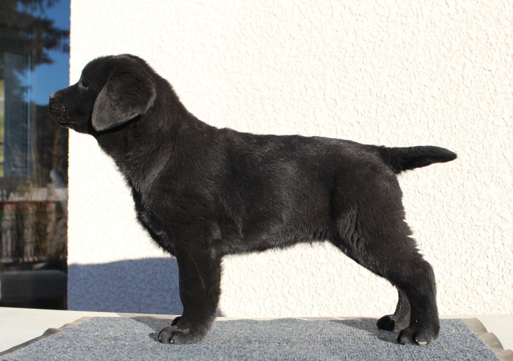 Publication : MDG Labs 