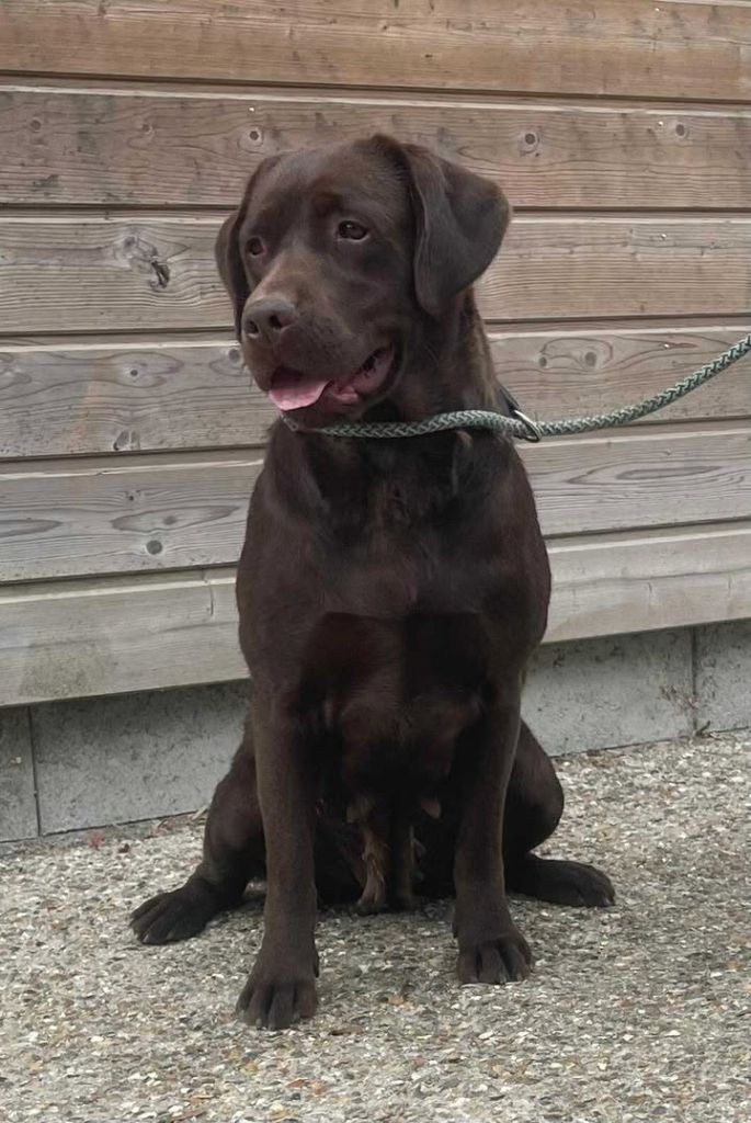 Publication : de la Vallée de Saint Samson