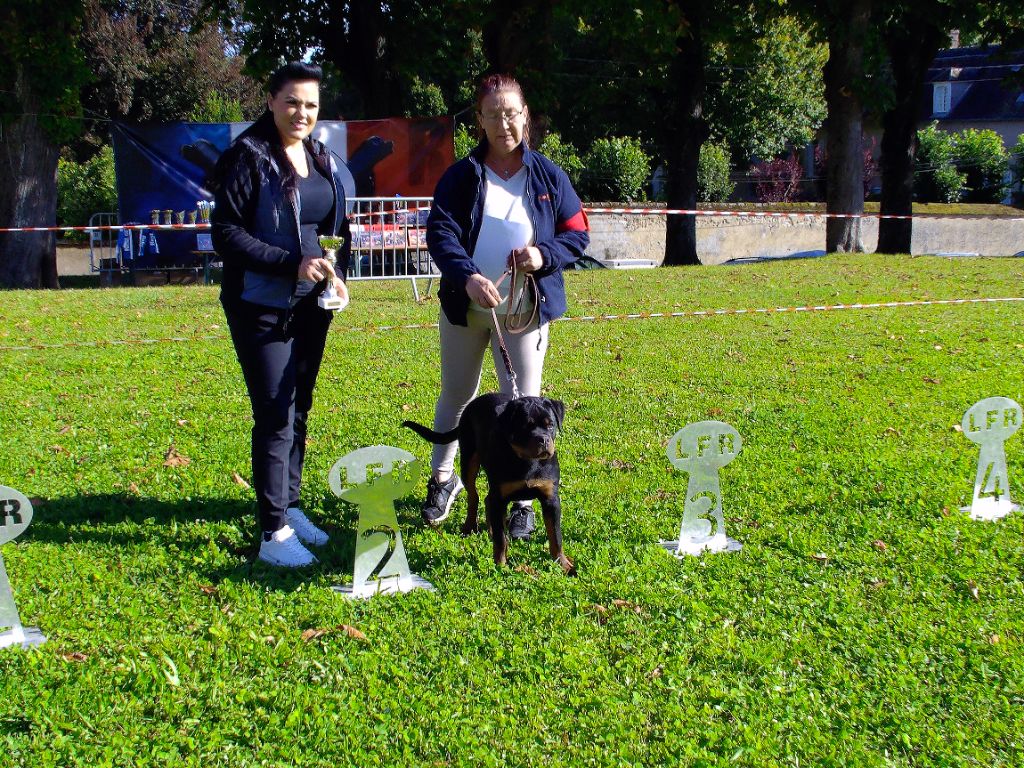 Publication : Des Amours De Sakura 