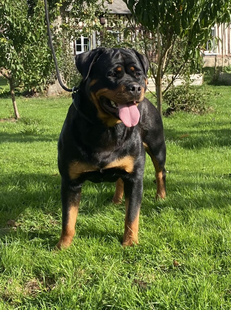 Publication : De la tour gelee