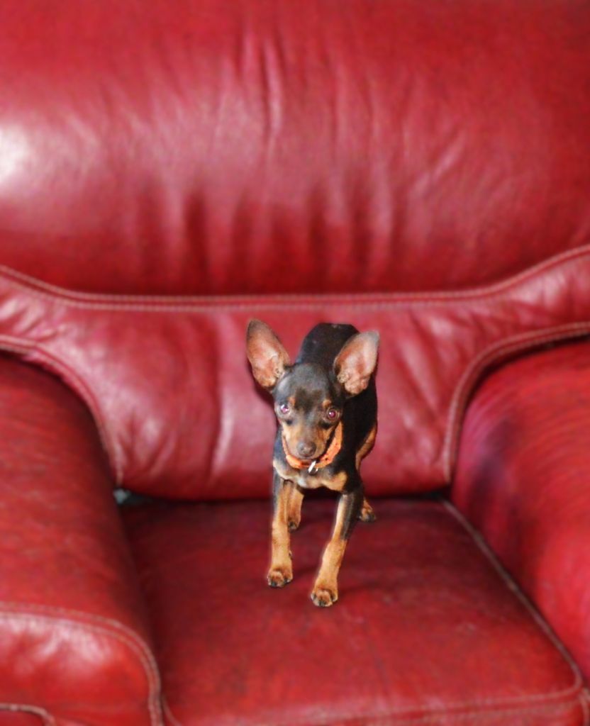 Publication : By Bidule 