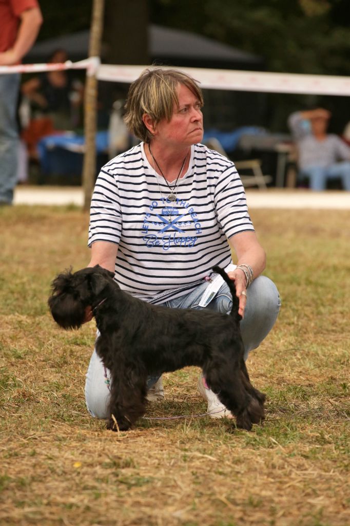 Publication : Des matins de cristal Auteur : Des Matins De Cristal