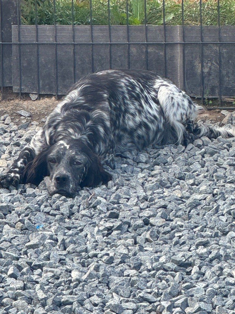 Publication : De Roch Kirio