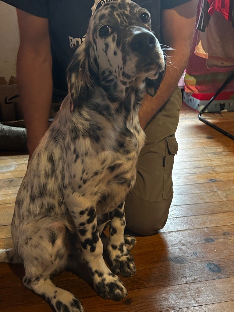 Publication : De La Terrible Menée 