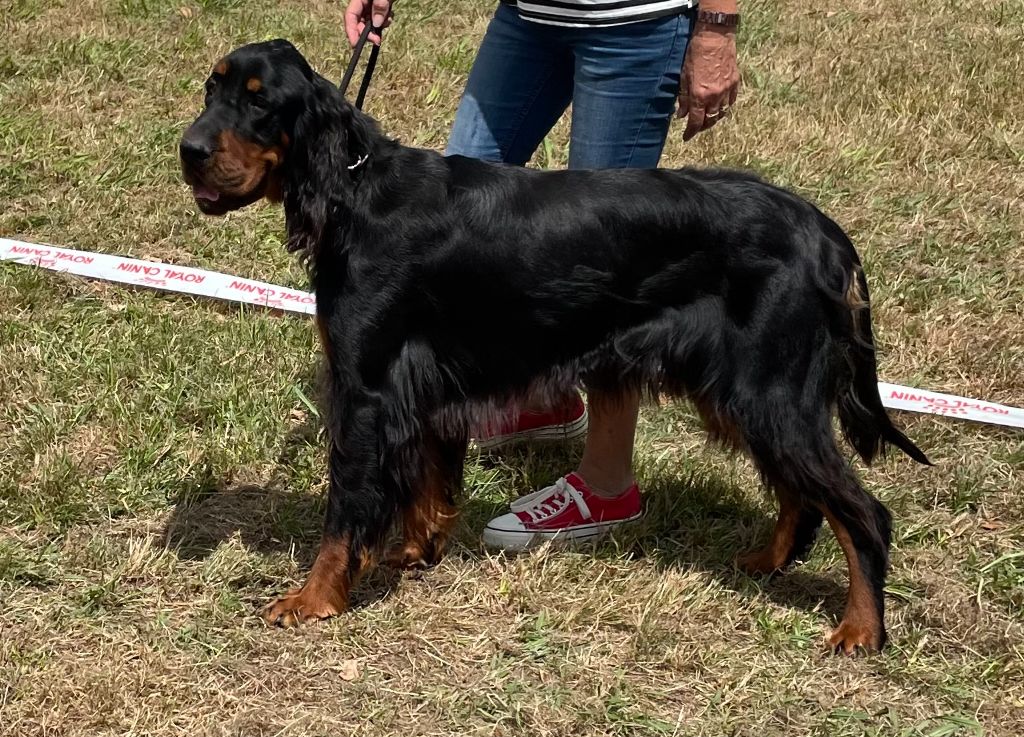 Publication : Du clos de la capitainerie Auteur : Jean Luc DESJARIGES