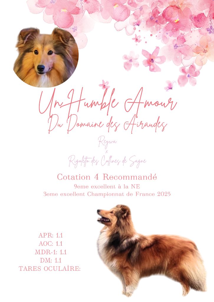 Publication : du Domaine des Airaudes Auteur : La Tribu des Airaudes