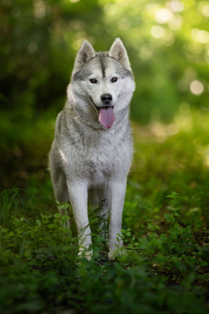 Publication : Of Artic West Wind
