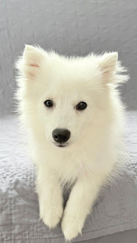 Publication : Des jardins de margaux Auteur : Jardins De Margaux