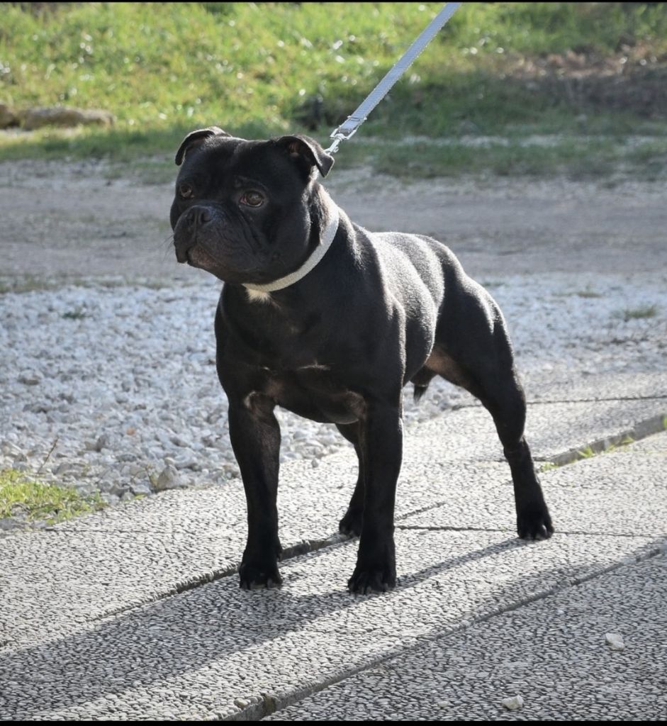 Publication : d'ultime passion Auteur : Up