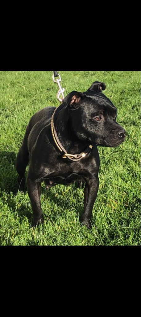 Publication : Du Domaine De L'Ailloux 