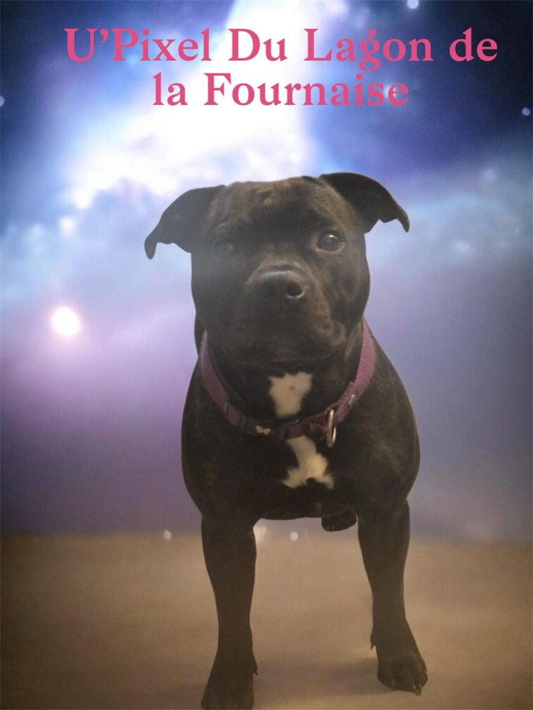 U'pixel du Lagon de la Fournaise