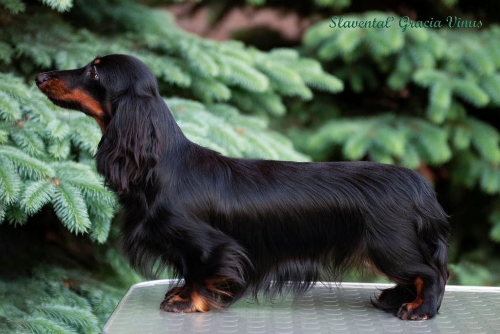 Publication : Of Moonlight Blue