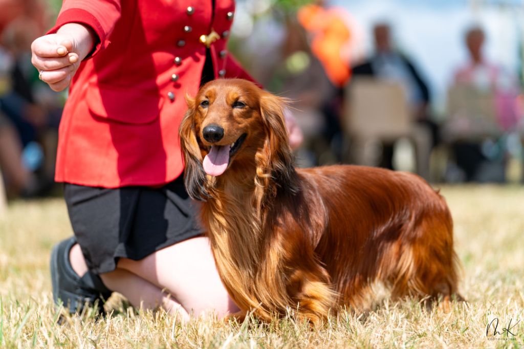 Publication : de l'Amasiah Auteur : Aurelie Poullelaouen