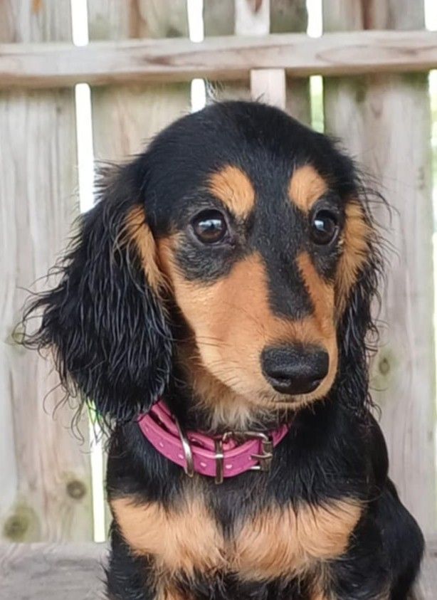 Publication : de l'air salin 