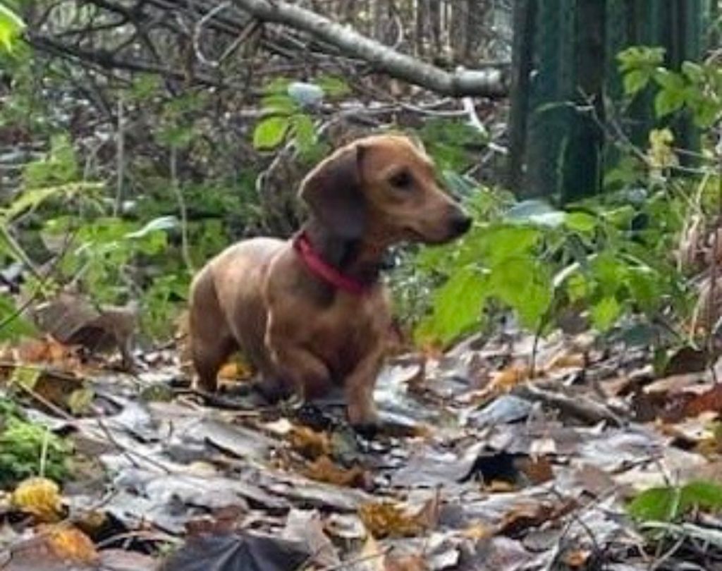 Publication : de l'enclos thierachien 