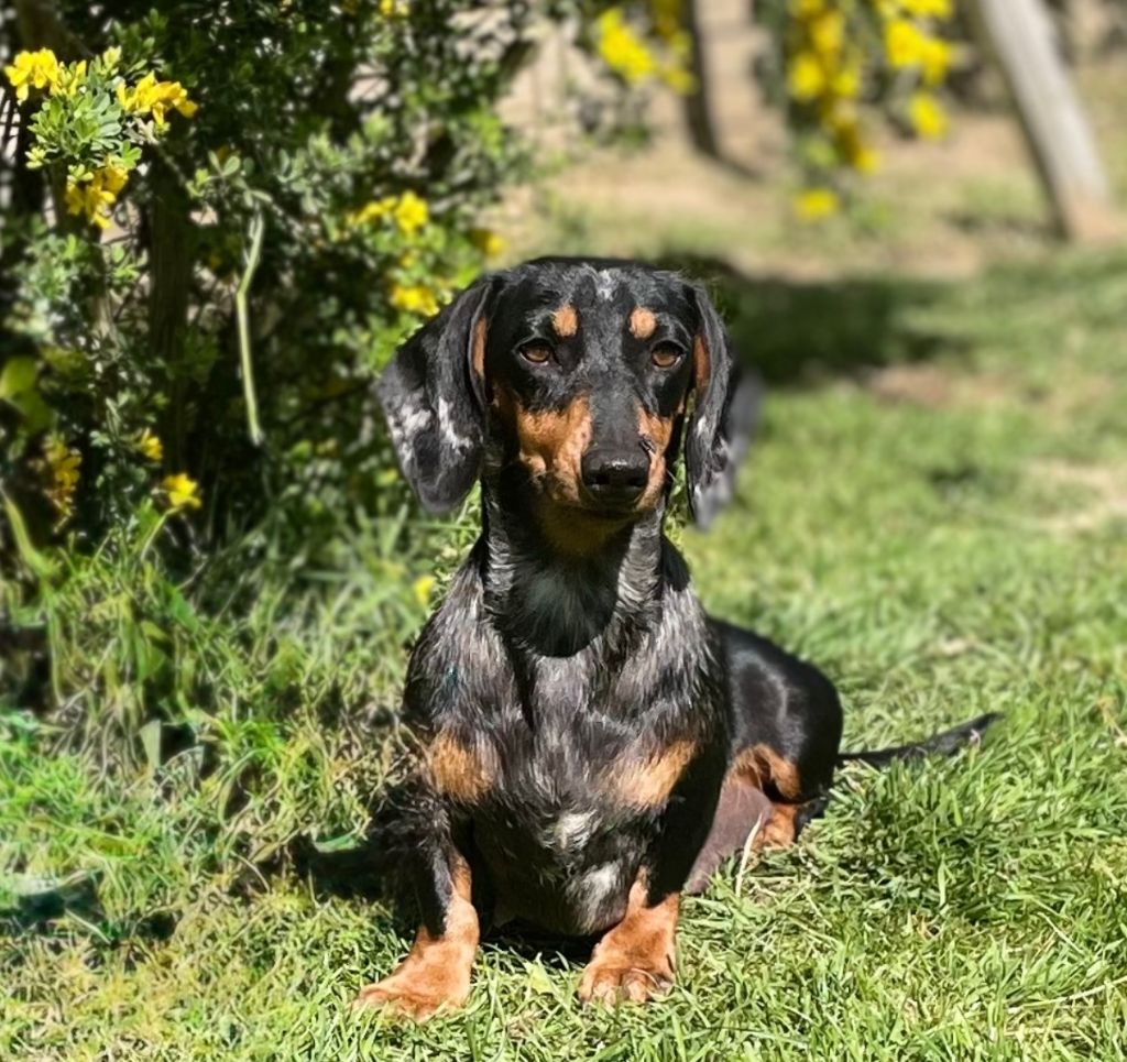 Publication : de l'enclos thierachien 