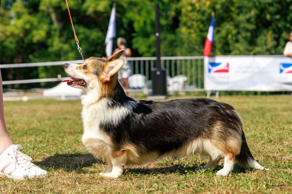 Publication : Du clos vauban 