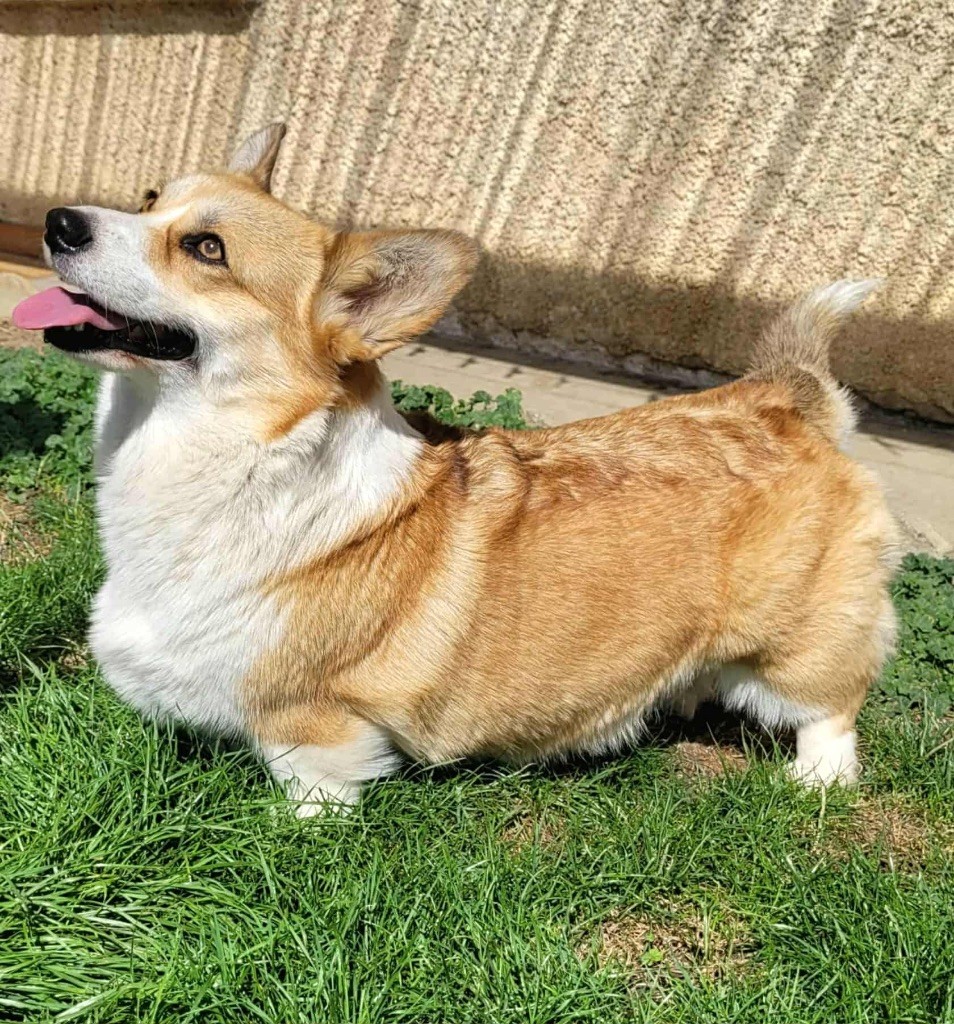 Publication : des Anges d'Héra 