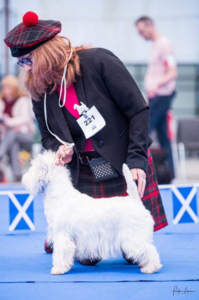 Publication : de Biguinine Auteur : Frederic LhonorÃ©