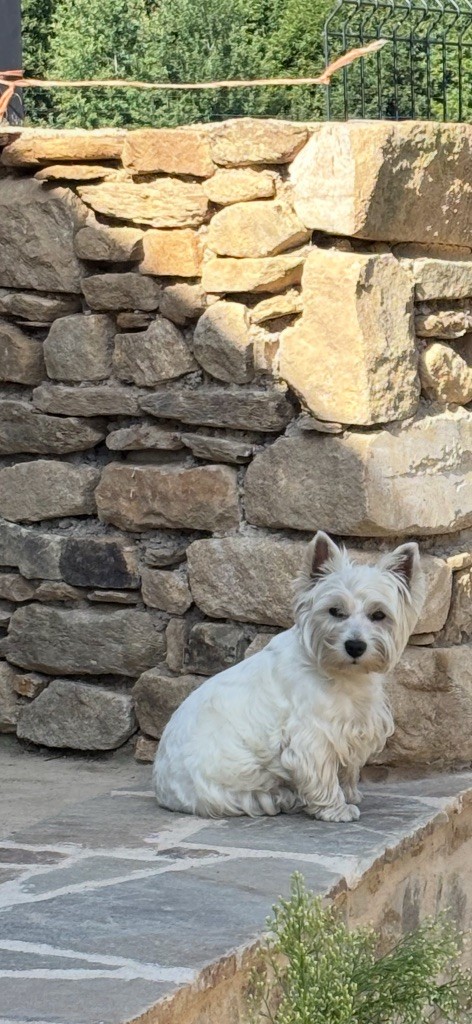 Publication : Du Clan Mac White 