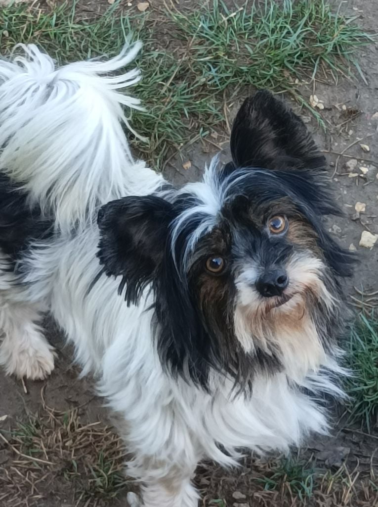 Publication : Du puits des sortileges 