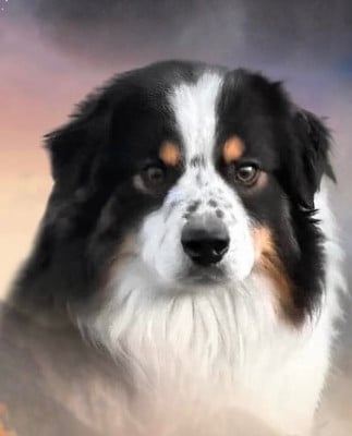 full throttle Kiss a dream