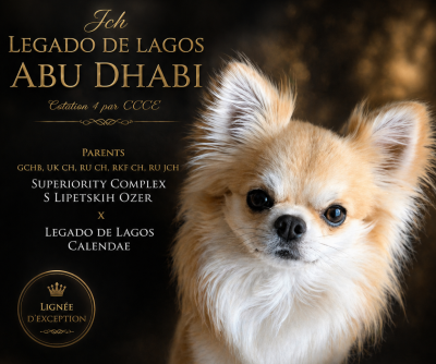 CH. legado de lagos Abu dhabi