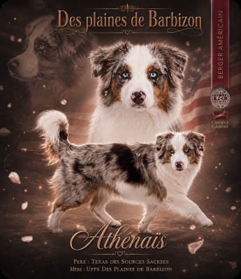 image de Athenais
