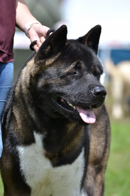 Toyokumono no kami Du Clos De La Horde