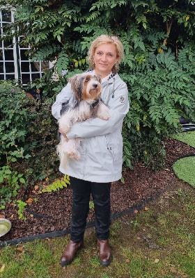 Étalon Biewer Terrier - Evrika (Sans Affixe)