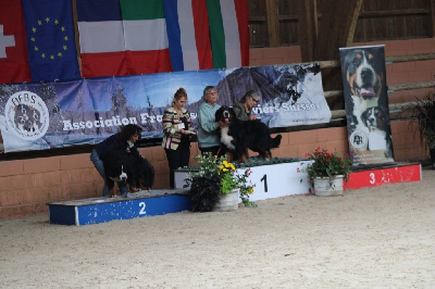 Étalon Bouvier Bernois - du Domaine du Lanthenay Velres laos valmont