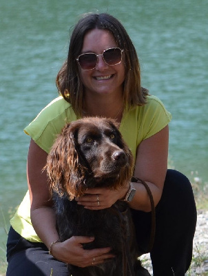 Étalon Chien d'Oysel allemand - Ulysse Du Domaine De Matacharre