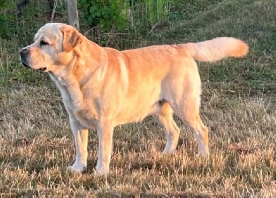 Prosper du Labramour d'Othys