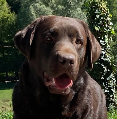 Ultra zen Du Chateau De Bigny