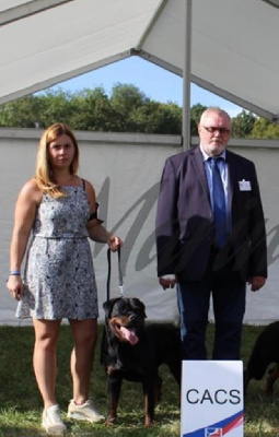 Étalon Rottweiler - CH. Prentiss Des Gardiens Du Diamant Noir