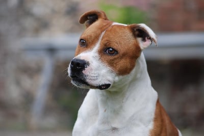 Time after time De karysha