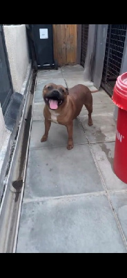 Ultime sensation forte Of Imperial Little