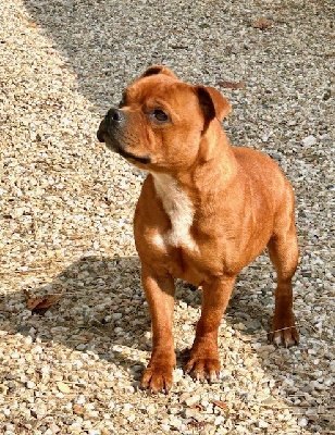 Une storia importante Du Coeur Des Terres