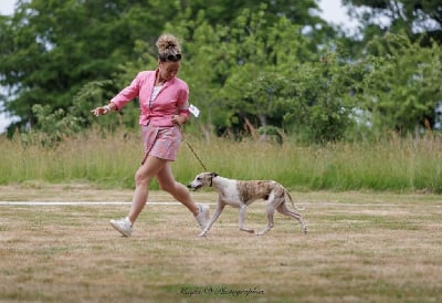 Jch nl ; j ch fr vidhya valeyre of Continuity of Cyyl