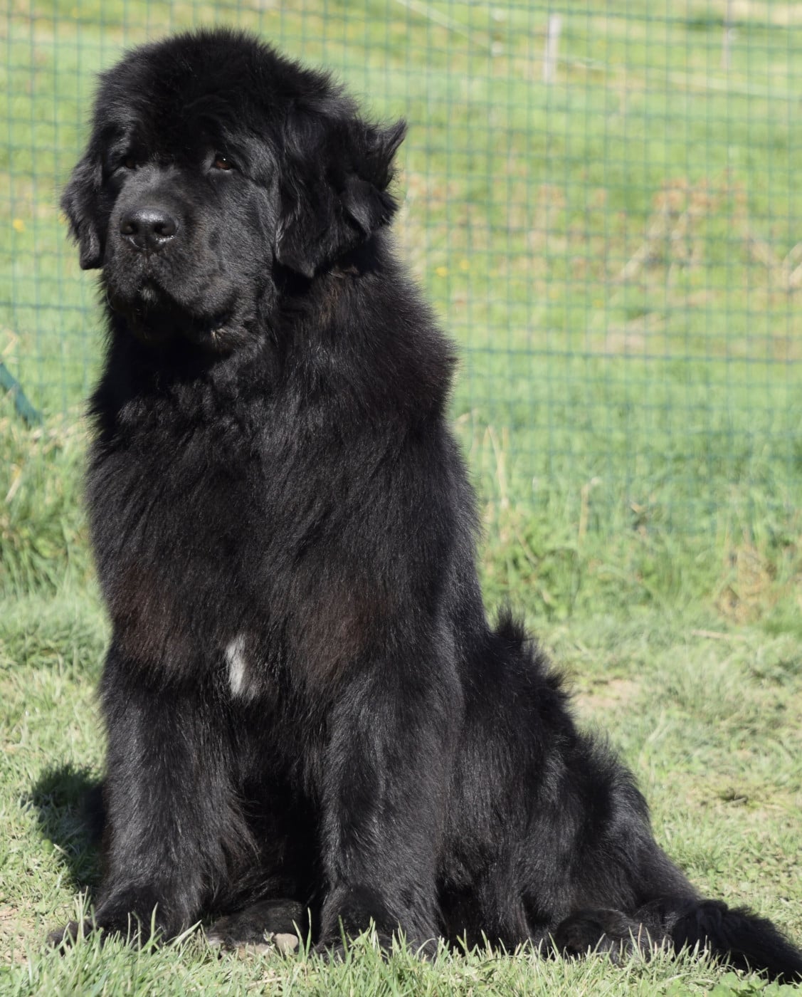 Publication : du haut Selvage 