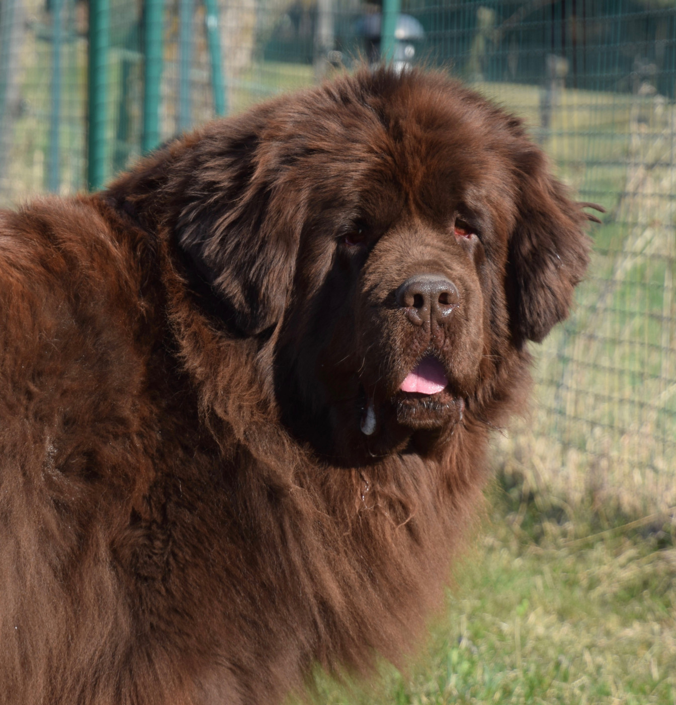 Publication : du haut Selvage 