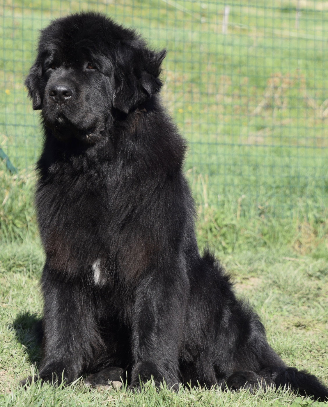 Publication : du haut Selvage 