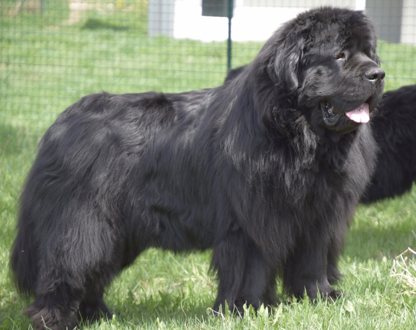 Publication : du haut Selvage 