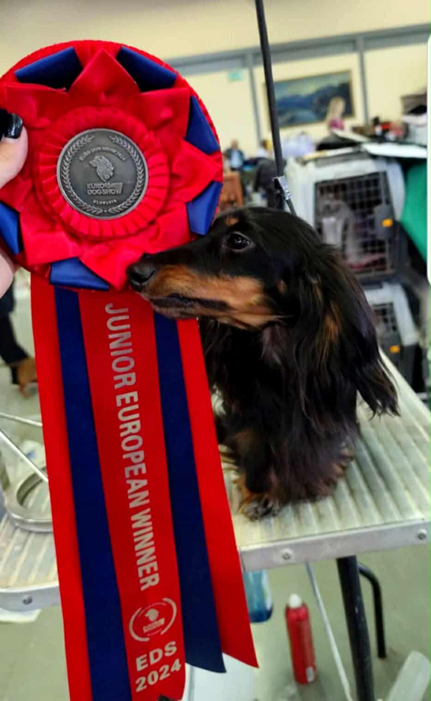 CH. Dama Di Cuori di ca preziosa