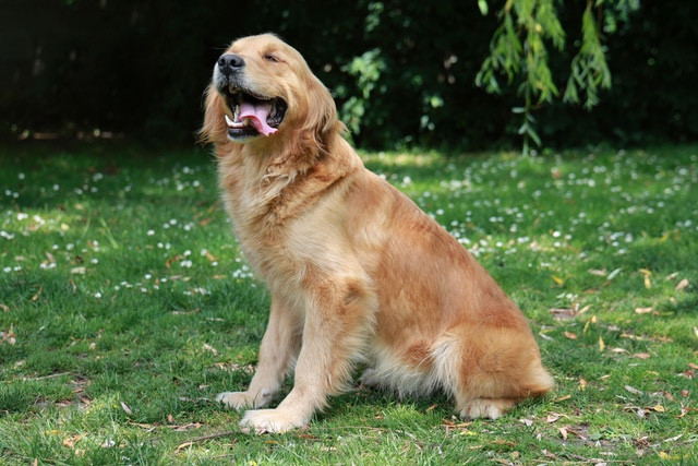 Publication : Du Domaine De Loumatpau 